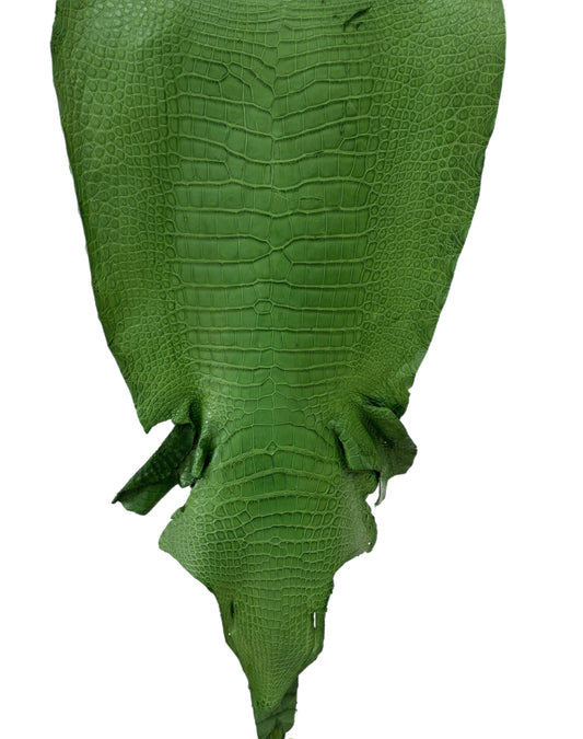 39 cm Grade 3/4 Jungle Green Matte Wild American Alligator Leather - Tag: LA23-0050721