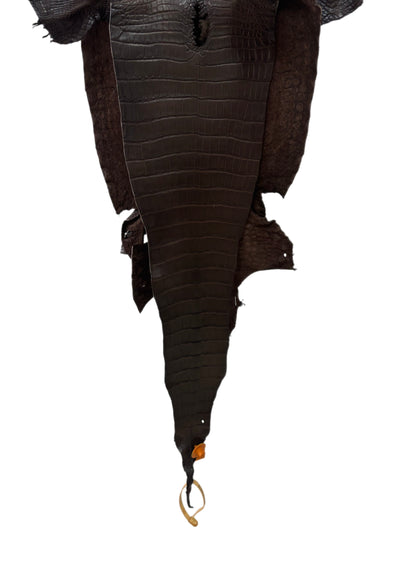 28 cm Grade 1 Chocolate Matte Wild American Alligator Leather - Tag: FL15-0057346