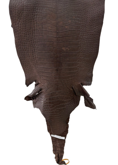 47 cm Grade 4/5 Chocolate Matte Wild American Alligator Leather - Tag: LA23-0014900
