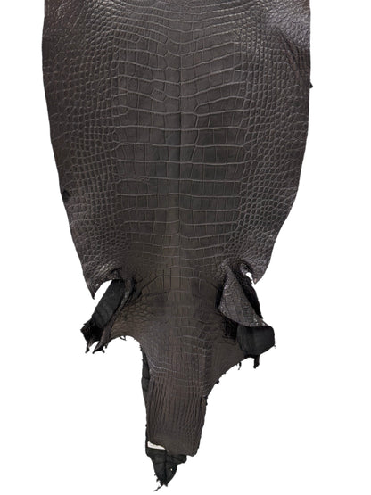 48 cm Grade 3/4 Black Matte Wild American Alligator Leather - Tag: LA23-0000522