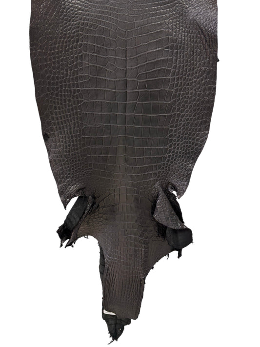 48 cm Grade 3/4 Black Matte Wild American Alligator Leather - Tag: LA23-0000522