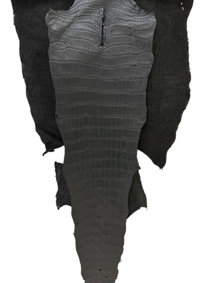 53 cm Grade 3/4 Black Matte Wild American Alligator Leather - Tag: LA22-0016747