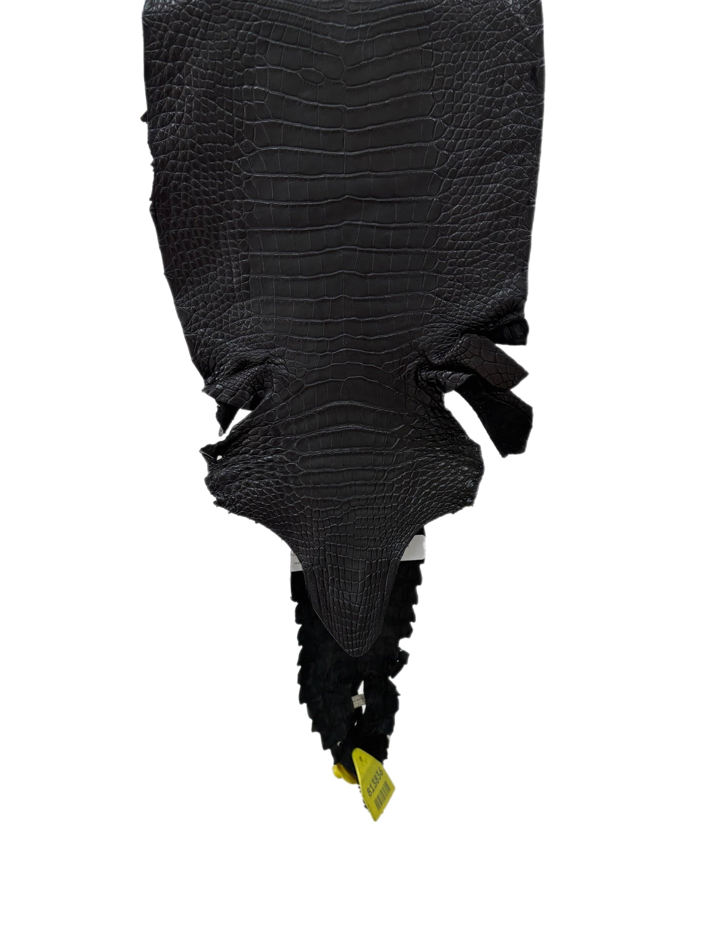 21 cm Grade 1/2 Black Matte Wild American Alligator Leather - Tag: LA08-0234226