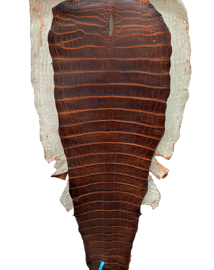 40 cm Grade 1/2 Sienna Matte Wild American Alligator Leather - Tag: ESRE-0050838