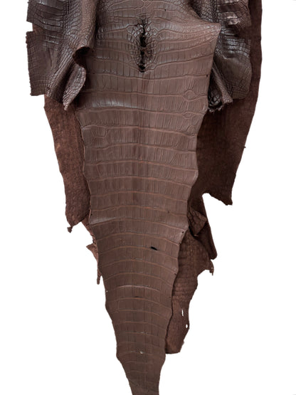 68 cm Grade 3/4 Chocolate Matte Wild American Alligator Leather - Tag: LA24-0037373