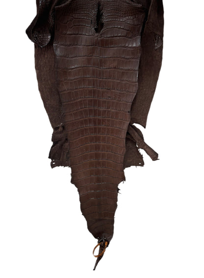 42 cm Grade 3/4 Chocolate Matte Wild American Alligator Leather - Tag: LA23-0000097