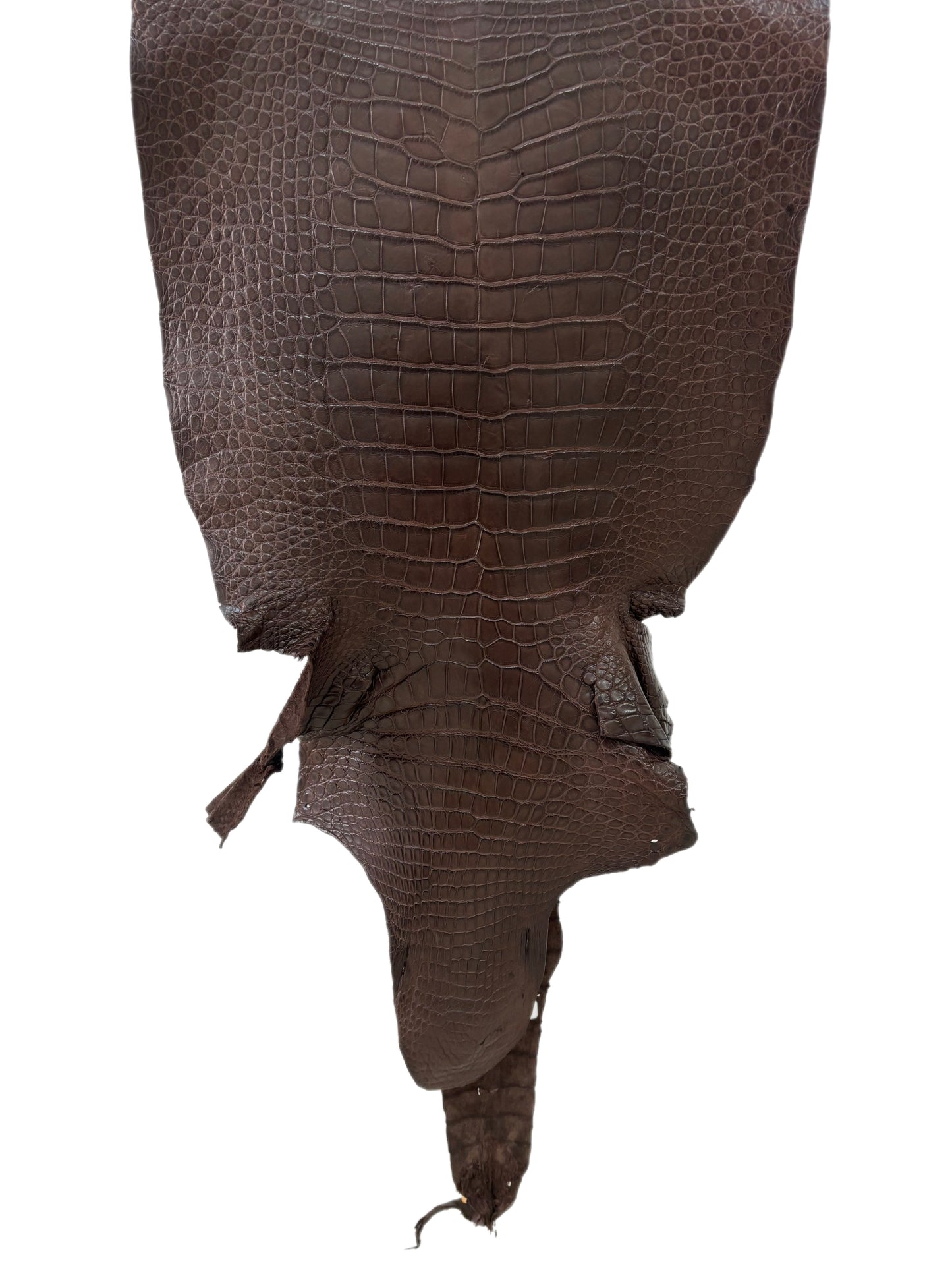 45 cm Grade 3/4 Chocolate Matte Wild American Alligator Leather - Tag: LA23-0030746
