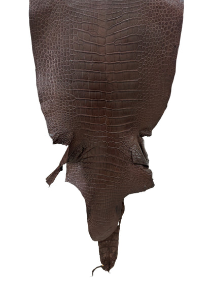 45 cm Grade 3/4 Chocolate Matte Wild American Alligator Leather - Tag: LA23-0030746
