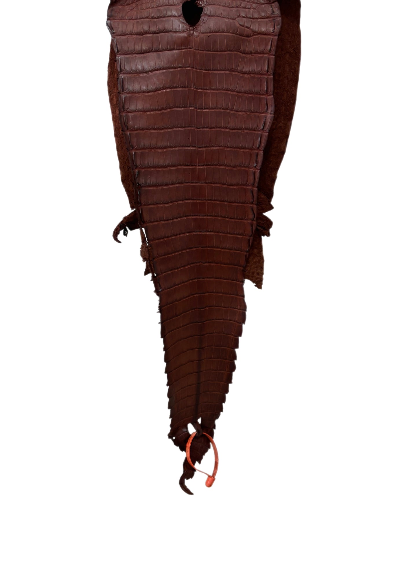 24 cm Grade 3/4 Italian Gold Matte Farm-Raised American Alligator Leather - Tag: FL21-0024538