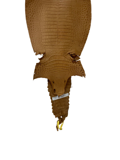 28 cm Grade 2/3 Antique Saddle Matte Farm-Raised American Alligator Leather - Tag: FL22-0030217