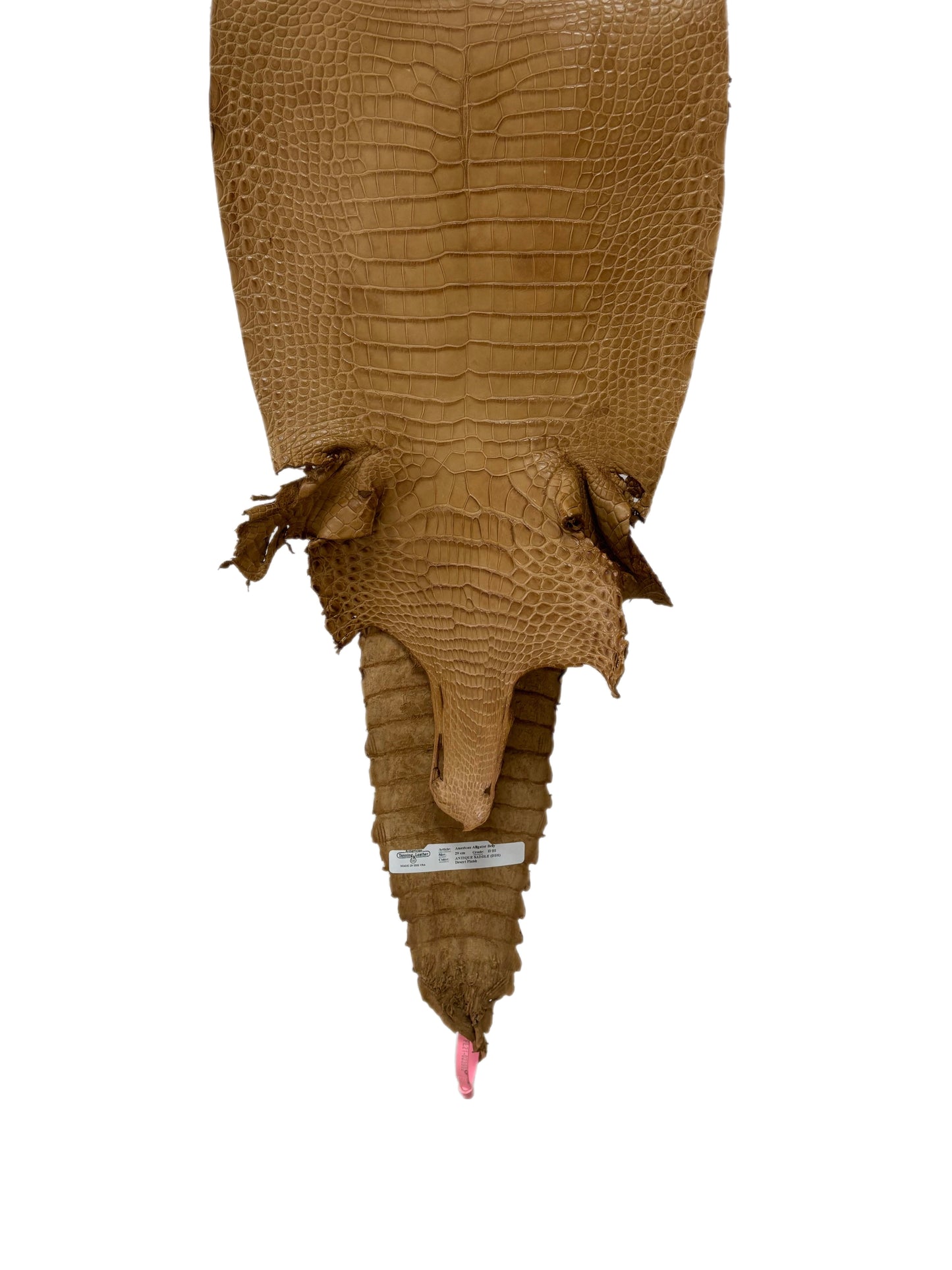 29 cm Grade 2/3 Antique Saddle Matte Farm-Raised American Alligator Leather - Tag: FL21-0023992