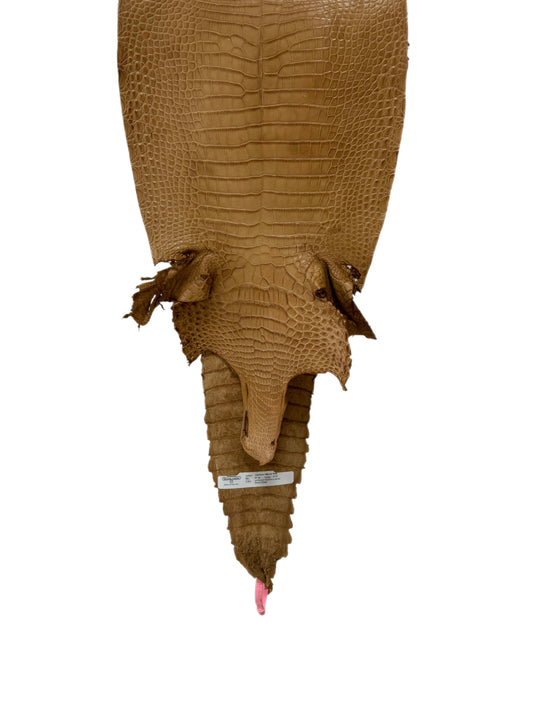 29 cm Grade 2/3 Antique Saddle Matte Farm-Raised American Alligator Leather - Tag: FL21-0023992