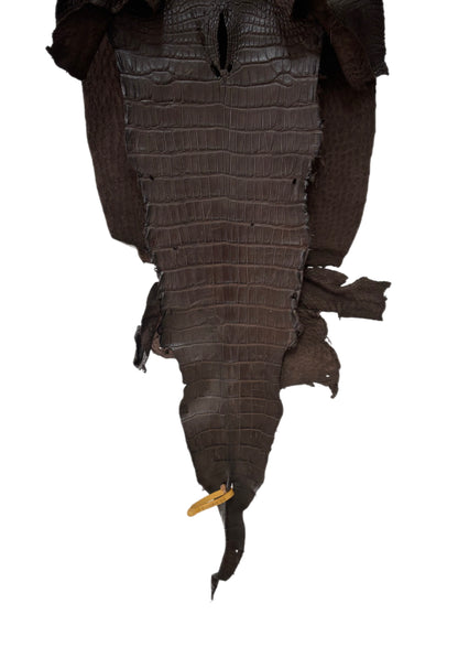 40 cm Grade 3/4 Chocolate Matte Wild American Alligator Leather - Tag: LA23-0024575