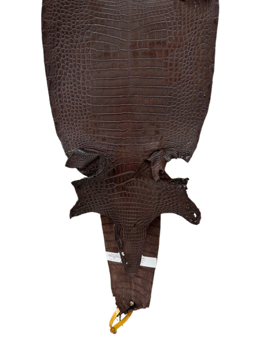 CLOSEOUT | 23 cm Grade 4/5 Chocolate Matte Farm Raised American Alligator Leather - Tag: FL22-0030195