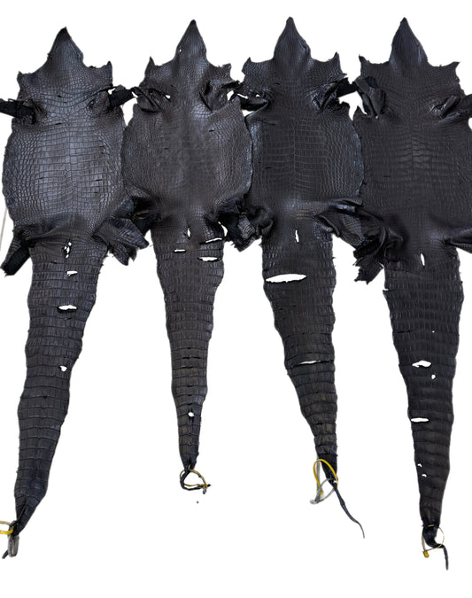 Oops Skins | 35-46 Cm Low Grade Black Matte Nile Crocodile