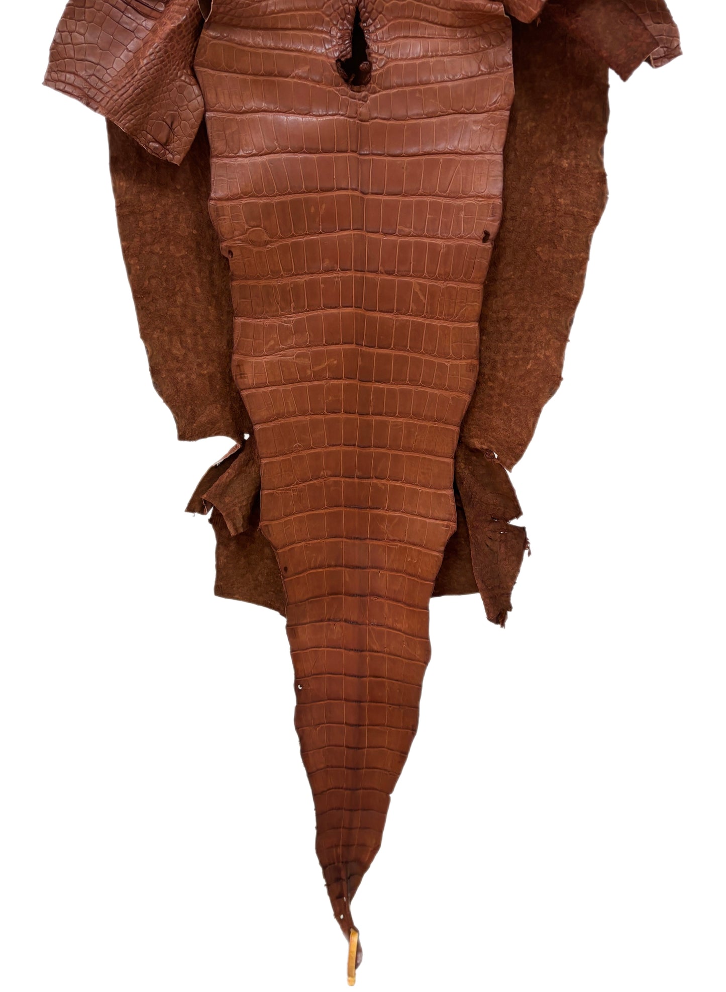 45 cm Grade 3/4 Rustic Cognac Matte Wild American Alligator Leather - Tag: LA17-0040032
