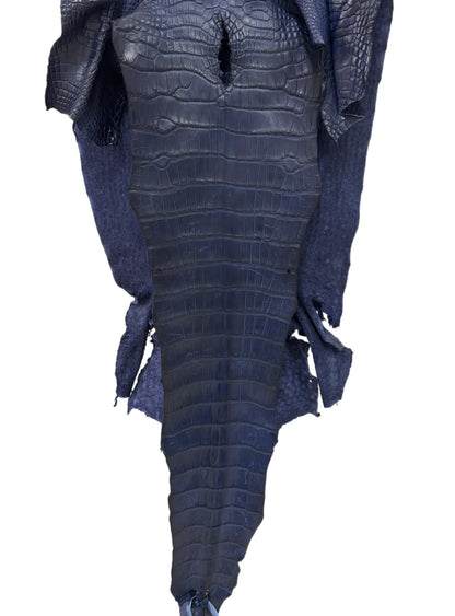 37 cm Grade 2/3 Navy Blue Desert Wild American Alligator Leather - Tag: LA23-0015406