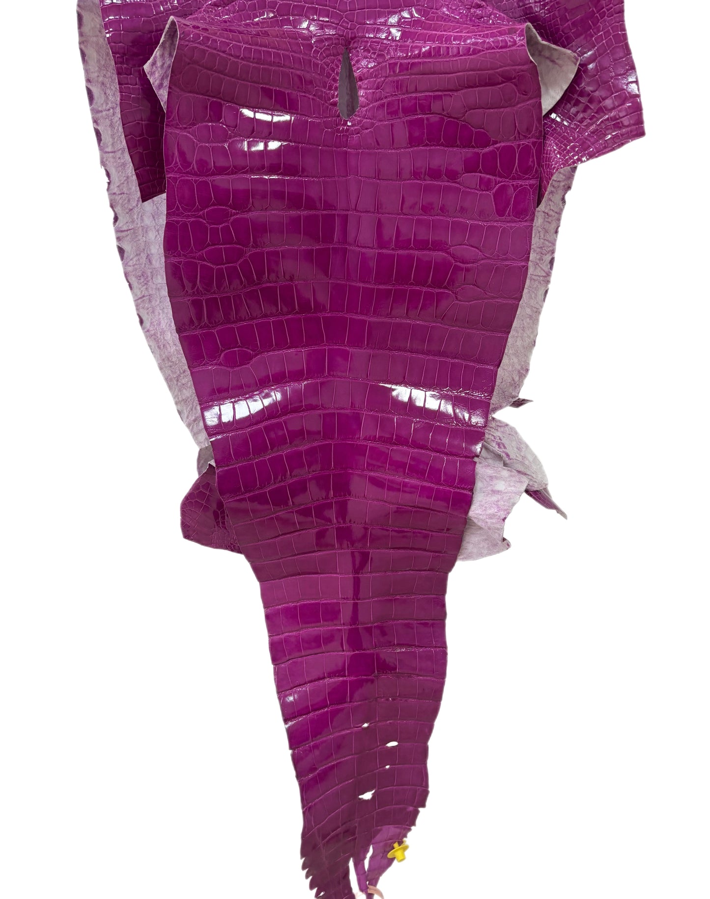 47 cm Grade 2/3 Magenta Glazed Farm Raised American Alligator Leather - Tag: LA13-0059869