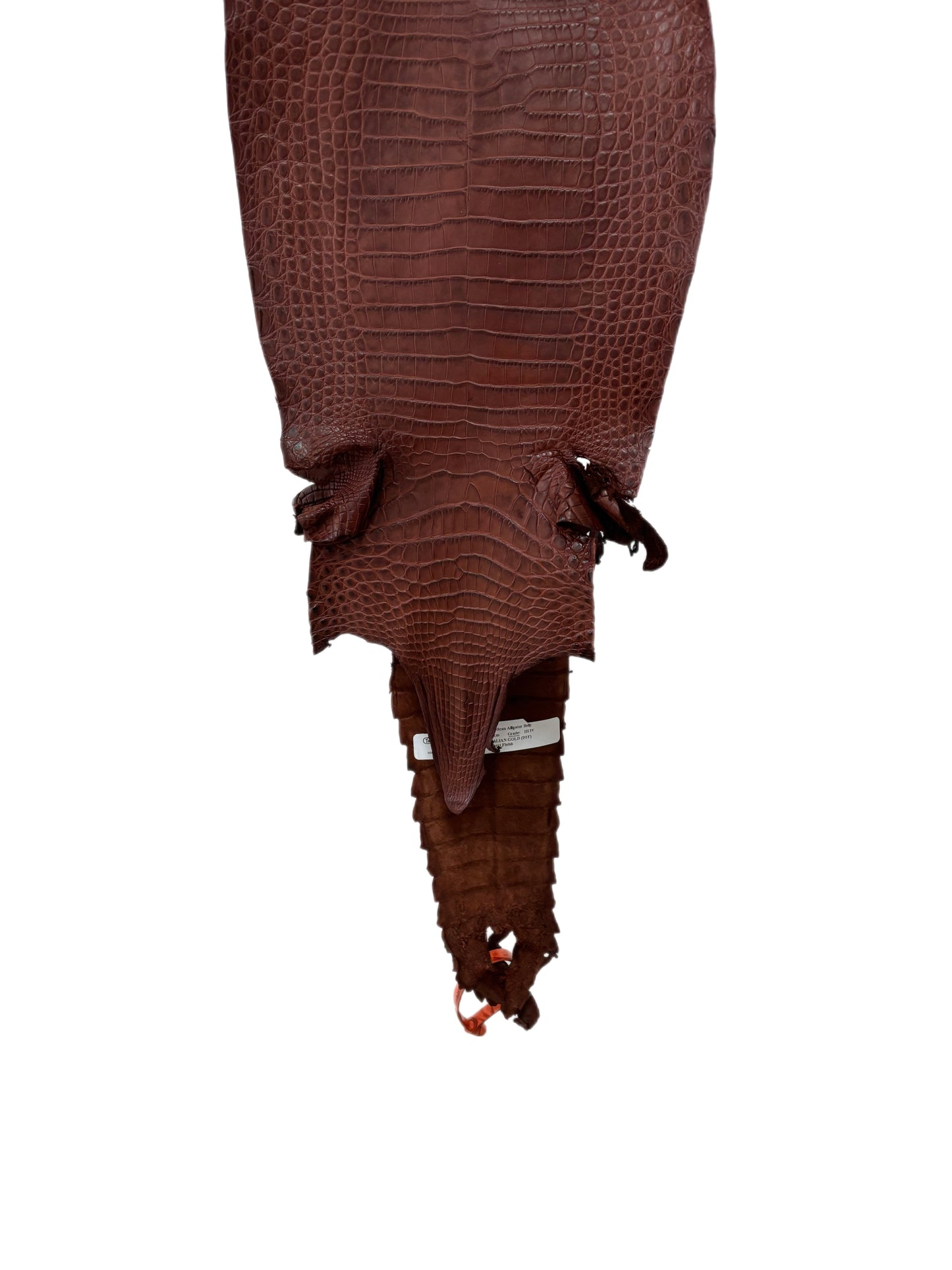 24 cm Grade 3/4 Italian Gold Matte Farm-Raised American Alligator Leather - Tag: FL21-0024538