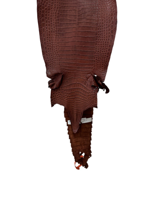 24 cm Grade 3/4 Italian Gold Matte Farm-Raised American Alligator Leather - Tag: FL21-0024538