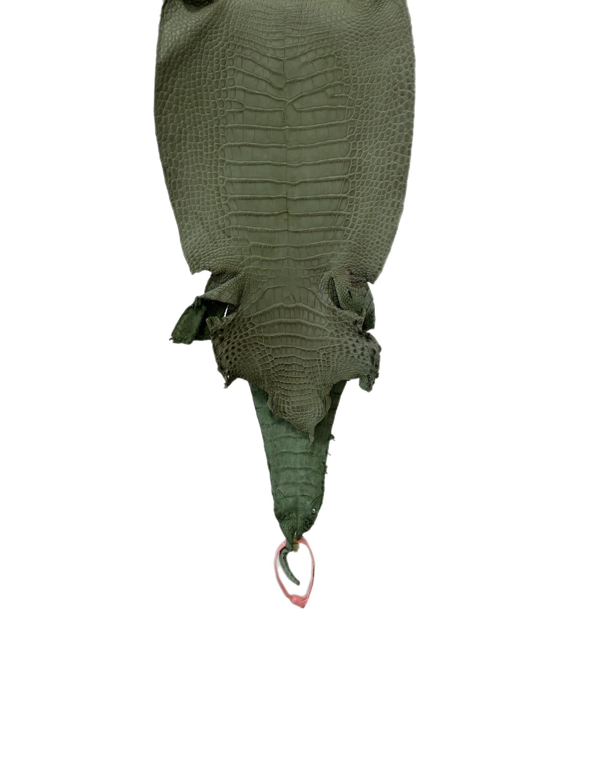 New Color! 21 cm Grade 1/2 Sage Green Matte Farm-Raised American Alligator Leather - Tag: LA24-0228919