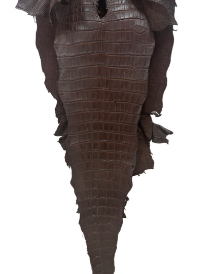 41 cm Grade 3/4 Chocolate Matte Wild American Alligator Leather - Tag: LA22-0025079