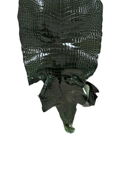 32 cm Grade 1 Forest Green Glazed Wild American Alligator Leather - Tag: LA18-0037663