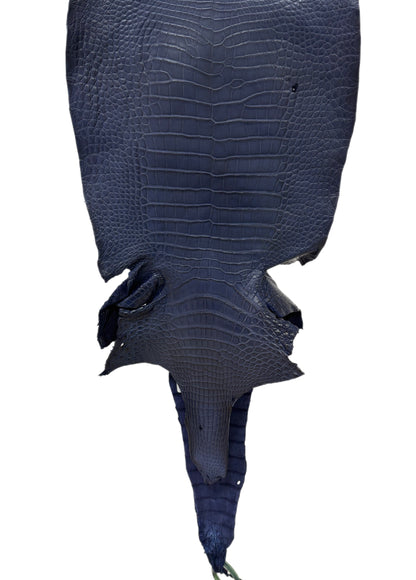 32 cm Grade 2/3 Navy Blue Desert Wild American Alligator Leather - Tag: LA19-0036811