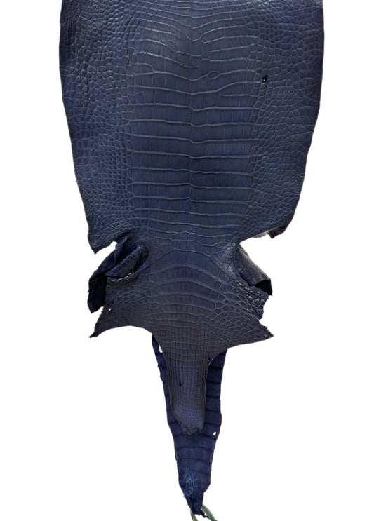 32 cm Grade 2/3 Navy Blue Desert Wild American Alligator Leather - Tag: LA19-0036811