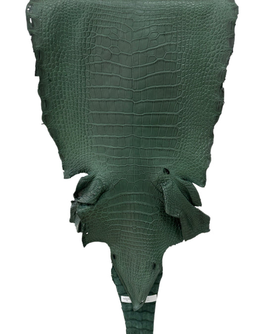 38 cm Grade 3/4 Forest Green Matte Wild American Alligator Leather - Tag: LA23-0030817