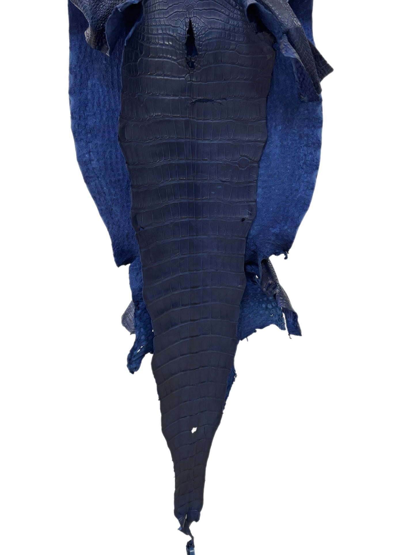 41 cm Grade 2/3 Admiral Blue Matte Wild American Alligator Leather - Tag: LA23-0033305