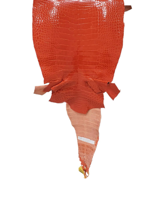 35 cm Grade 1/2 Mandarina Glazed Farm-Raised American Alligator Leather - Tag: GA13-0020888
