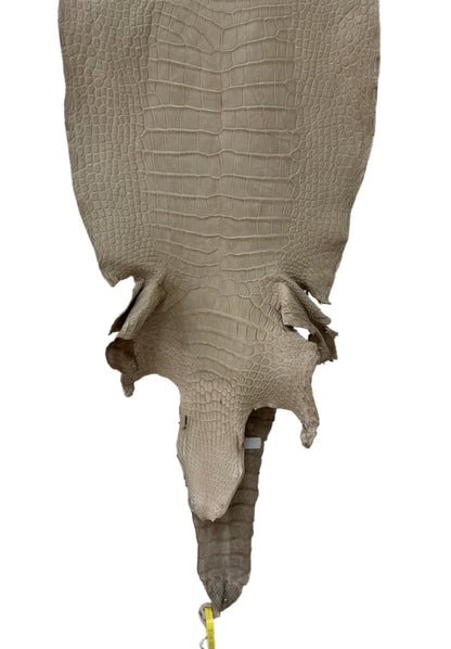 36 cm Grade 2/3 Oatmeal Matte Wild American Alligator Leather - Tag: LA25-0009430