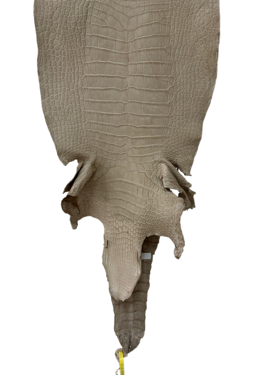 36 cm Grade 2/3 Oatmeal Matte Wild American Alligator Leather - Tag: LA25-0009430