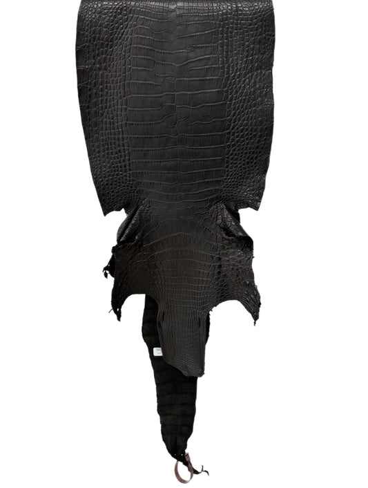 32 cm Grade 2/3 Black Matte Wild American Alligator Leather - Tag: FL24-0077657