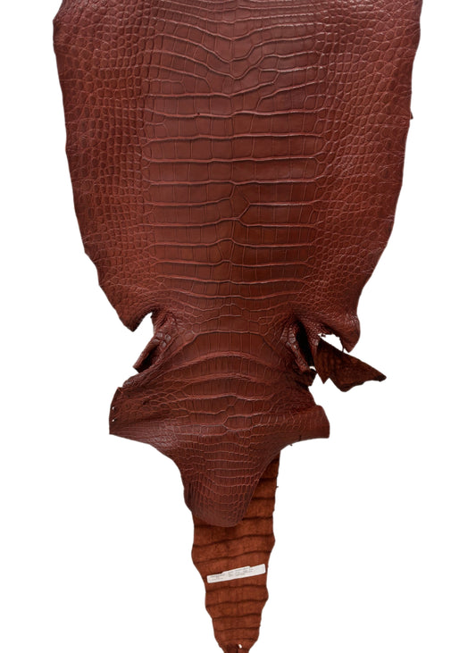 45 cm Grade 2/3 Italian Gold Matte Wild American Alligator Leather - Tag: LA23-0049206