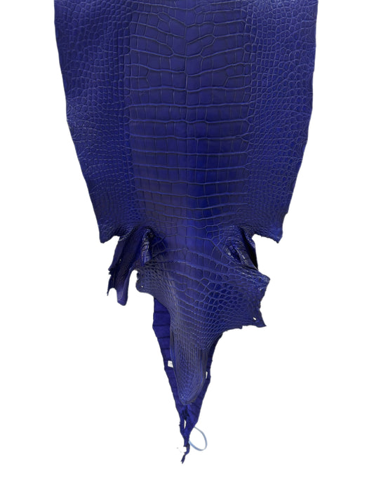 43 cm Grade 2/3 Cobalt Blue Matte Wild American Alligator Leather - Tag: LA23-0016343