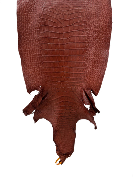 44 cm Grade 3/4 Italian Gold Matte Wild American Alligator Leather - Tag: LA25-0007554