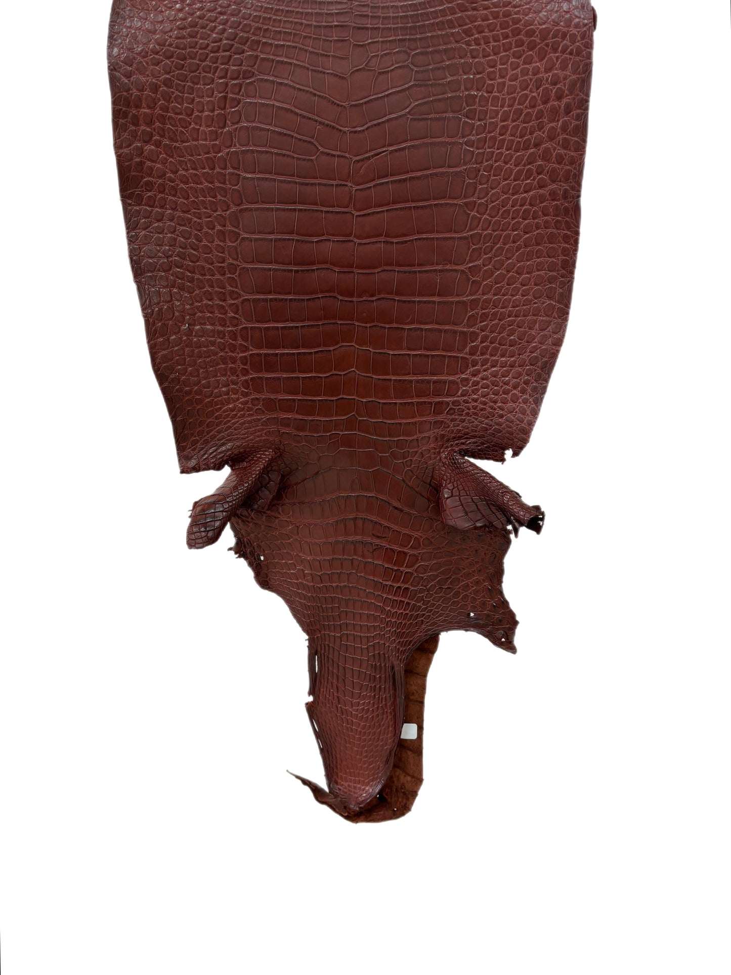 41 cm Grade 2/3 Italian Gold Matte Wild American Alligator Leather - Tag: LA23-0029250