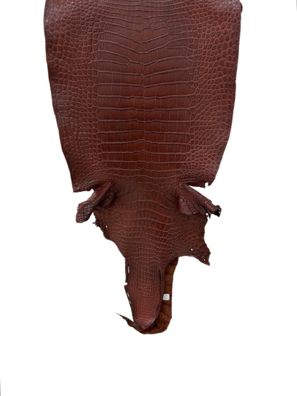 41 cm Grade 2/3 Italian Gold Matte Wild American Alligator Leather - Tag: LA23-0029250