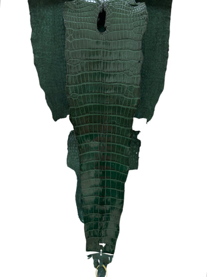 42 cm Grade 1/2 Forest Green Millennium Wild American Alligator Leather - Tag: LA16-0016650