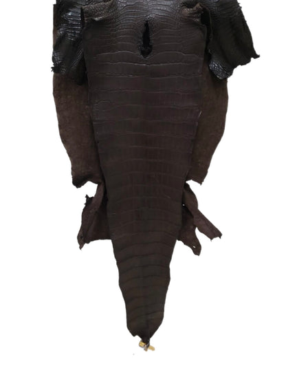 45 cm Grade 2/3 Kralle Brown Matte Farm American Alligator Leather - Tag: LA23-0001219