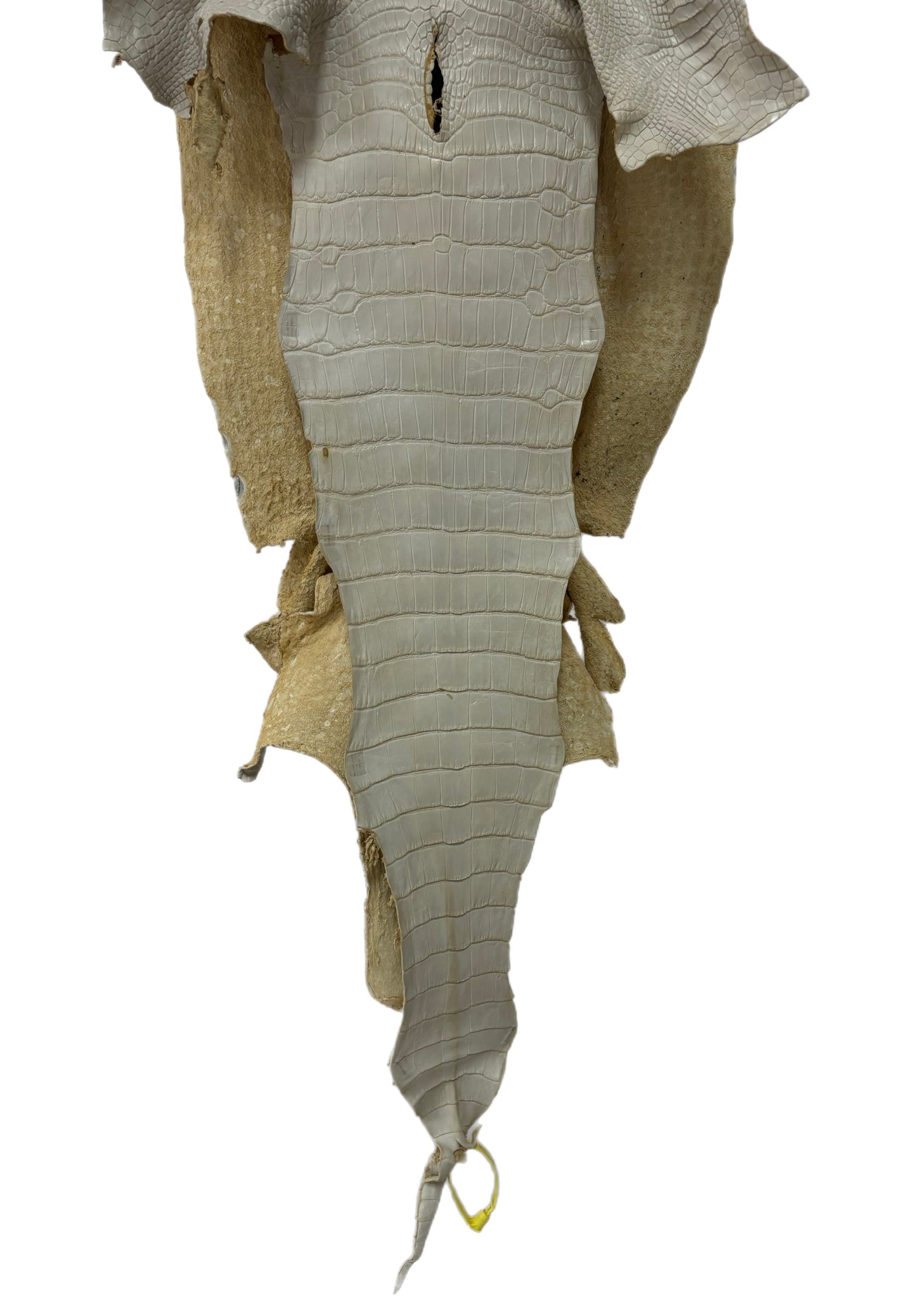 38 cm Grade 2/3 Dune Matte Wild American Alligator Leather - Tag: LA25-0044108