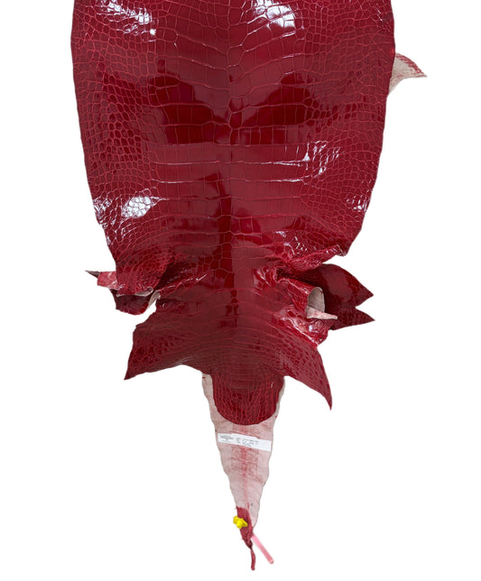 39 cm Grade 1/2 Red Glazed Wild American Alligator Leather - Tag: LA15-0028743