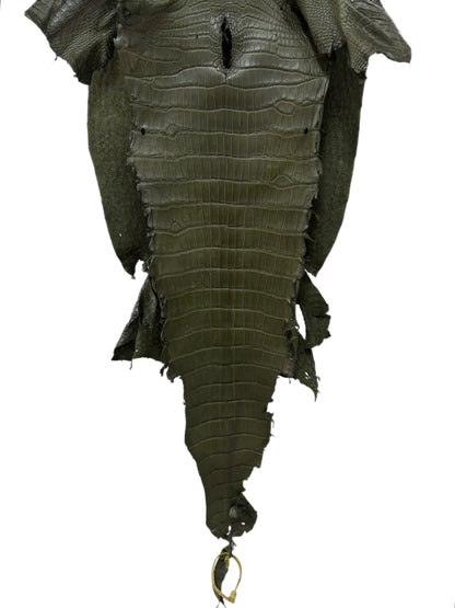 38 cm Grade 2/3 Olive Matte Wild American Alligator Leather - Tag: LA23-0004850