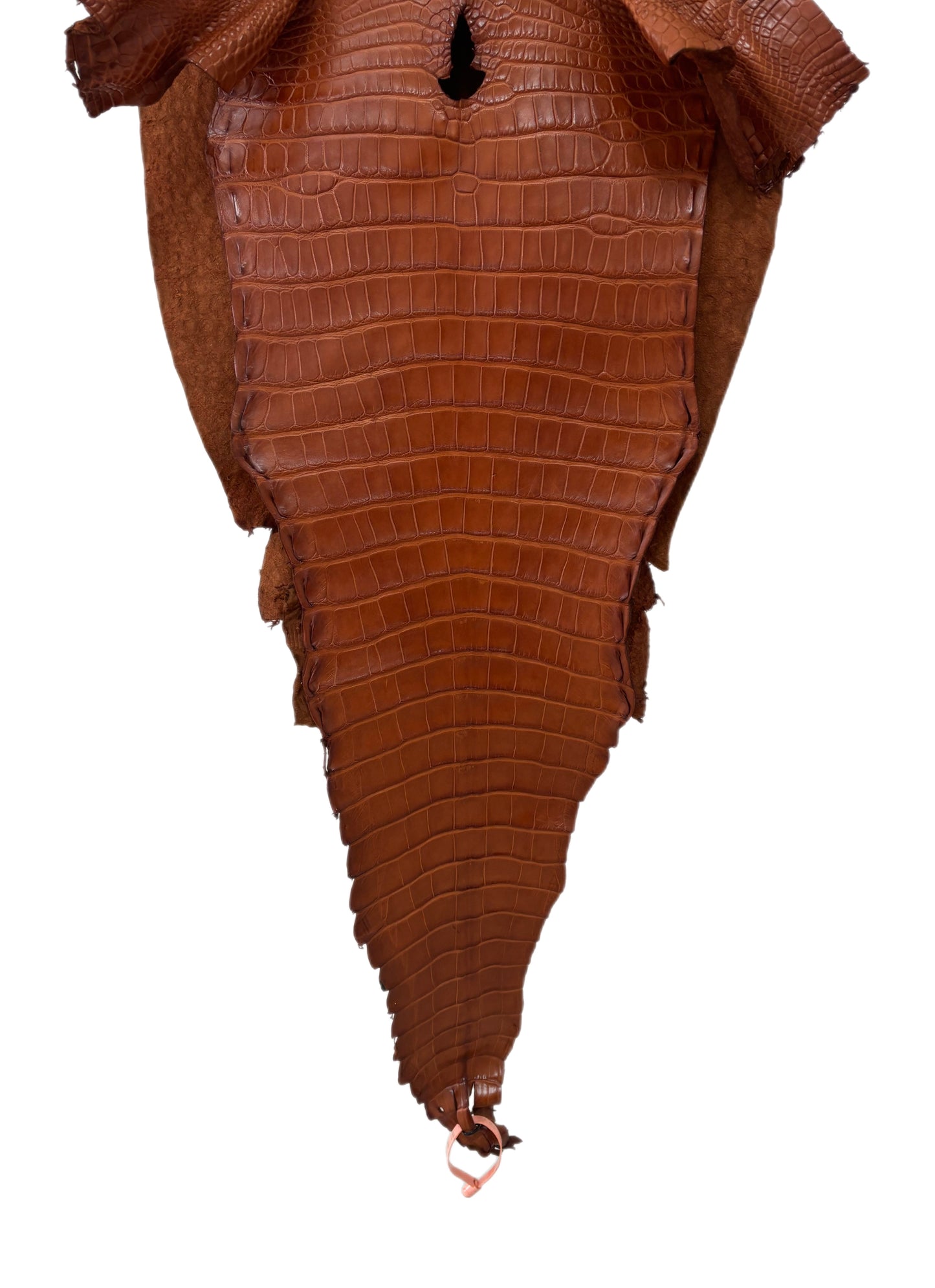 40 cm Grade 1/2 Cognac Matte Farm-Raised American Alligator Leather - Tag: LA18-0268287