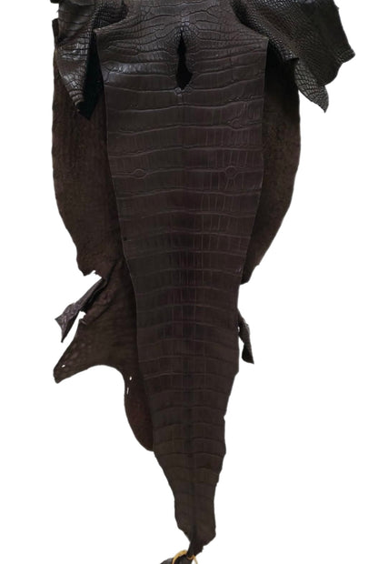 40 cm Grade 3/4 Kralle Brown Matte Wild American Alligator Leather - Tag: LA23-0030213