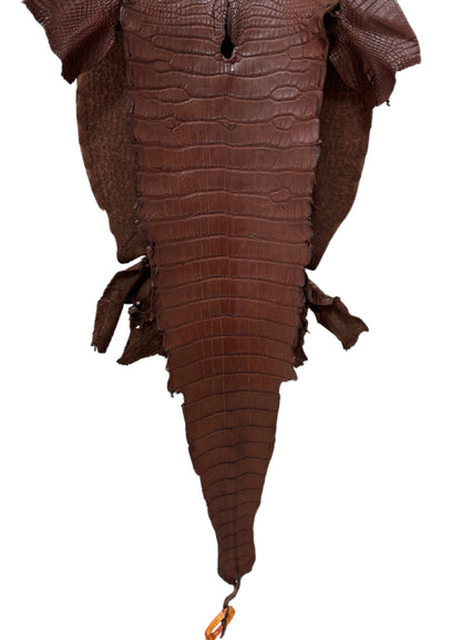 38 cm Grade 3/4 Chesnut Matte Wild American Alligator Leather - Tag: LA23-0050872