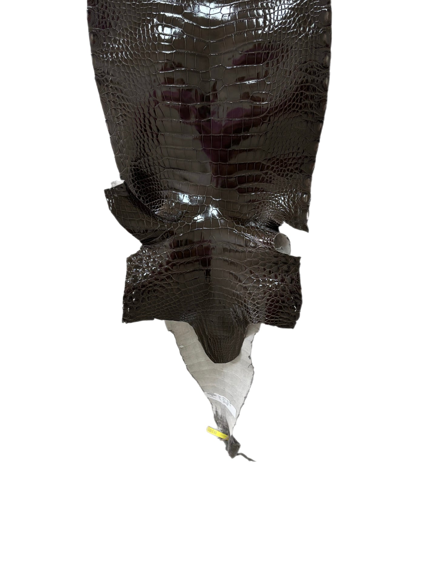 32 cm Grade 2/3 Cocoa Glazed Farm-Raised American Alligator Leather - Tag: LA25-0316498