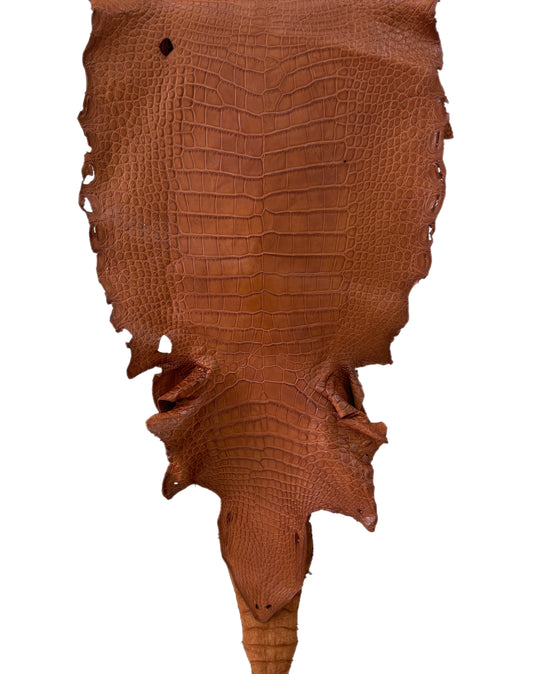41 cm Grade 4/5 Cognac Matte Wild American Alligator Leather - Tag: LA23-0010986